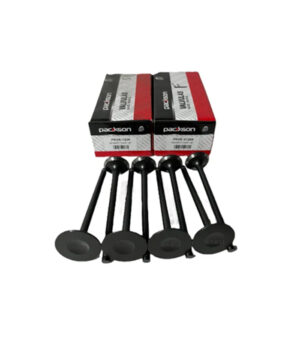 JUEGO DE VALVULAS PEUGEOT CITROEN TU3_JP 1.12