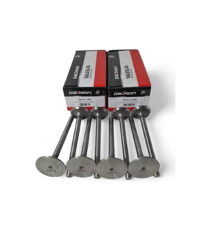 JUEGO DE VALVULAS PEUGEOT DW8 1.9 DIESEL-2